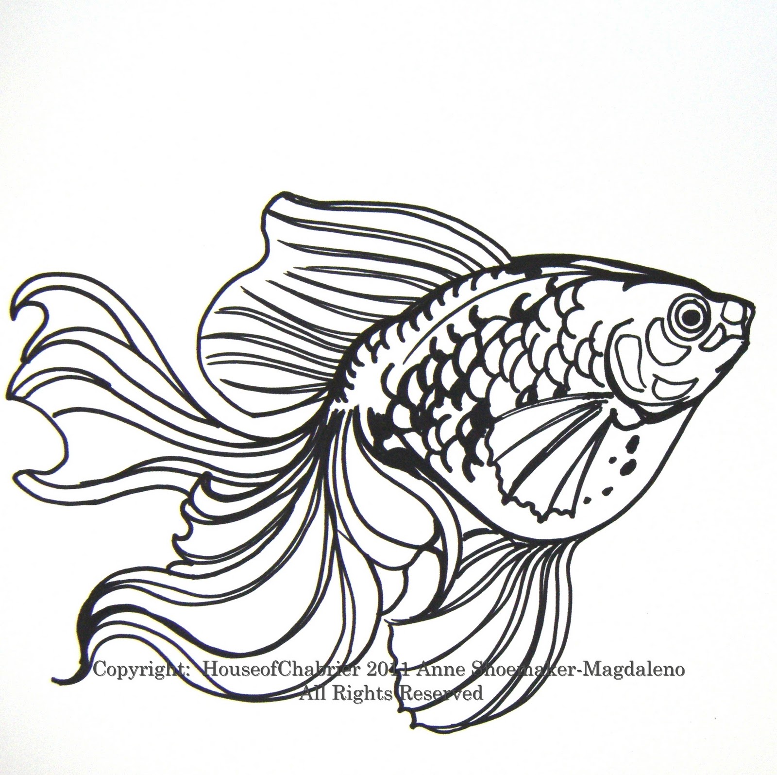 Tropical Fish Line Drawing