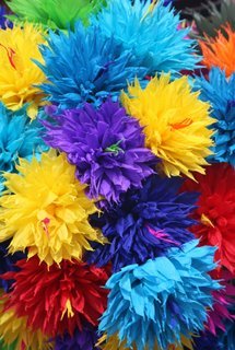 [Decorations_Mexican_Paper_Flowers.jpg]