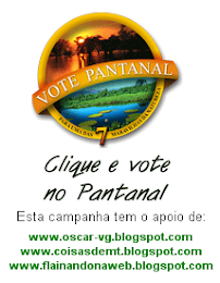 Vote no Pantanal!