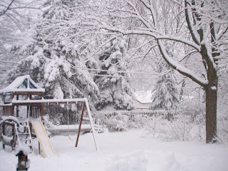 snow view from Kari's back door