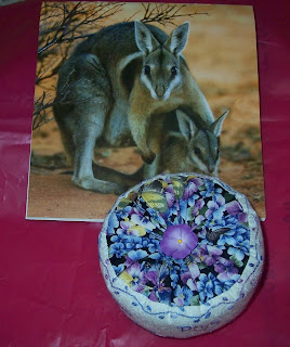 2009 calendar with mother kangaroo and baby next to the pincushion