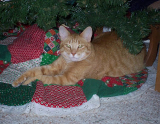 Jasper stretched out under the Christmas tree