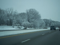 snow along the sides of the expressway and trees on our drive home