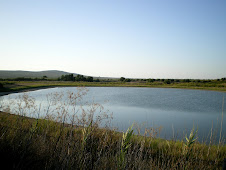 Laguna del Rincón
