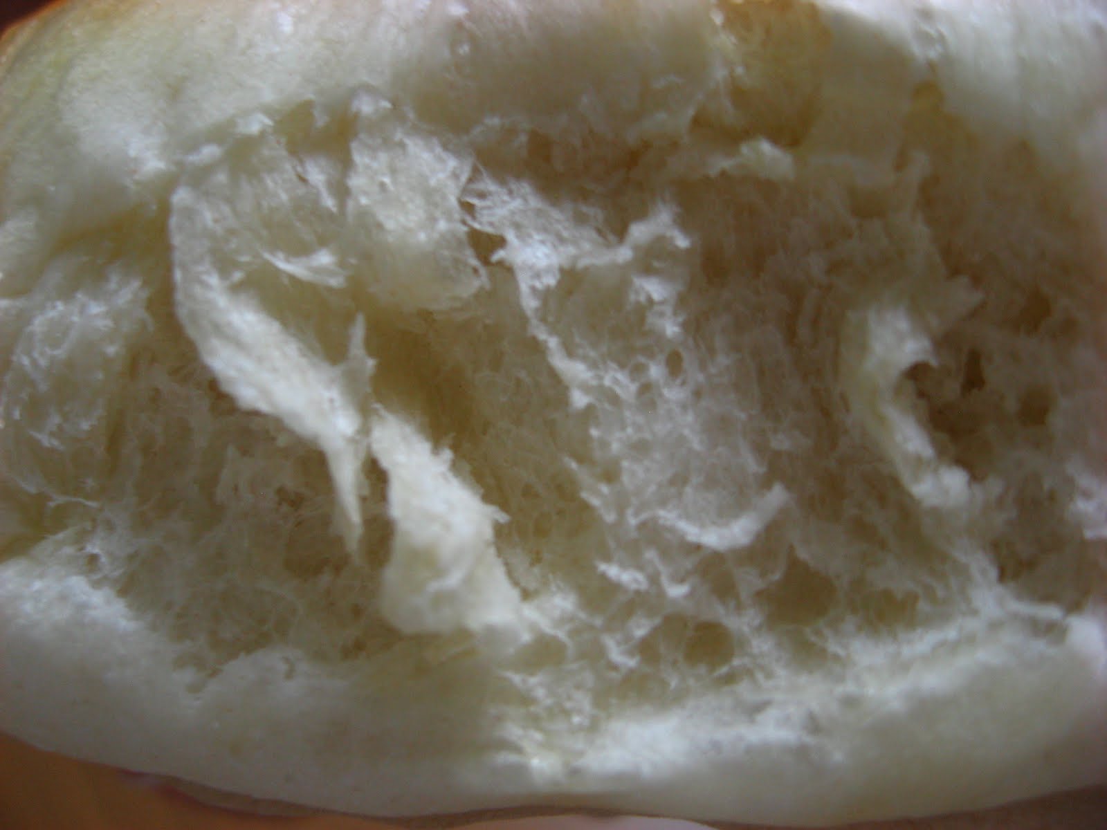 Slacker Sponge & Dough Method Bread