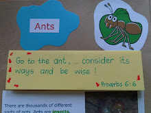 Memory Verse related to 'Insects Lesson'