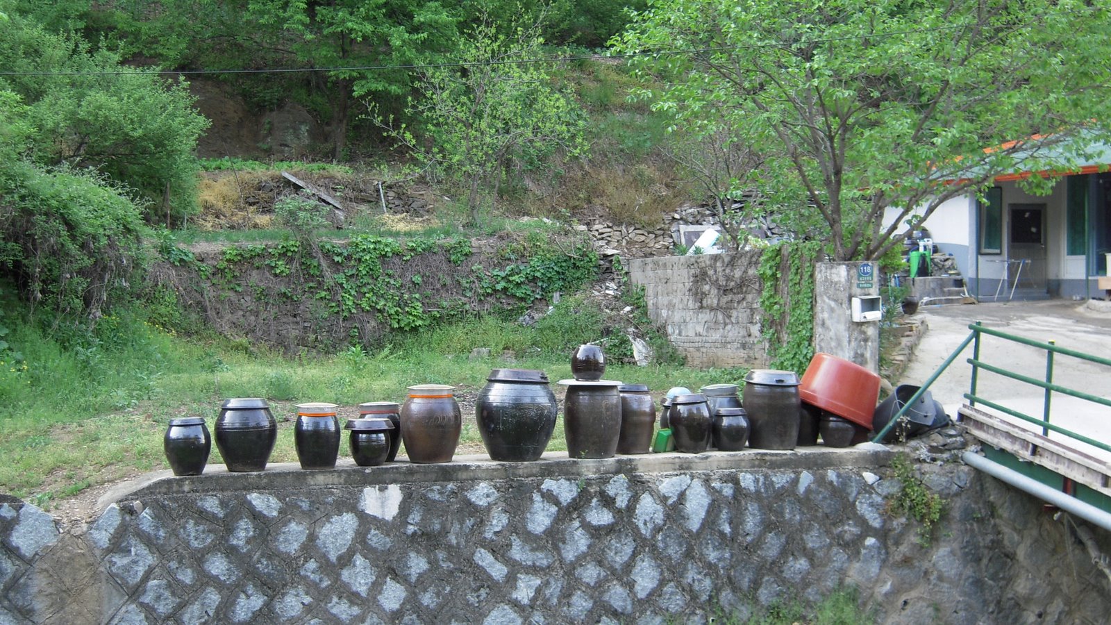 [DSCN0182.JPG]