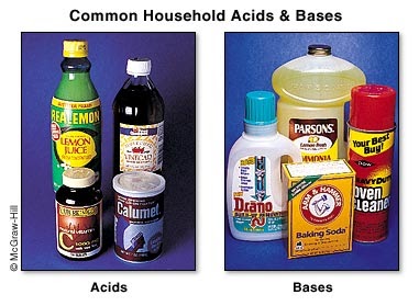 Common Household Acids and Bases