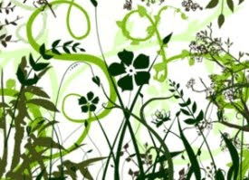 pinceles florales para photoshop