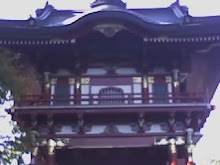 pagoda in the Japanese Tea Gardens
