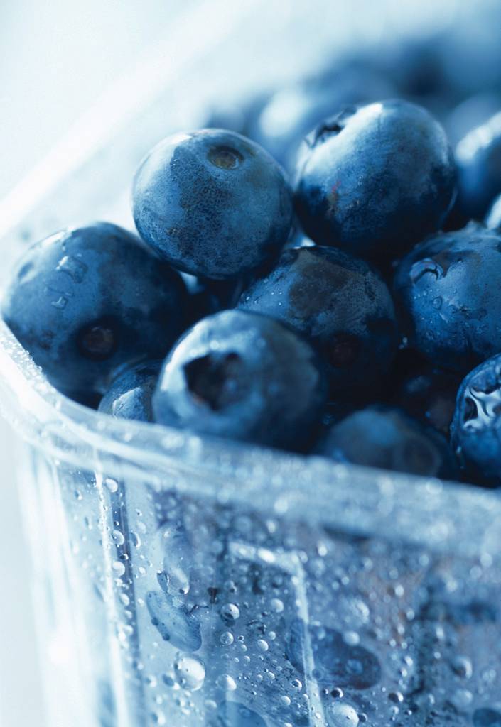 [blueberries.jpg]