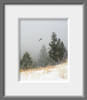 A framed photo of a snowy mountain hillside shrouded in a cold fog is the home of an American bald eagle.