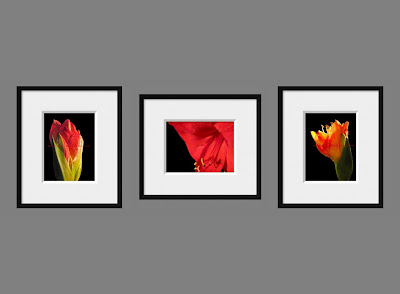 Red Flower Set of Three Display