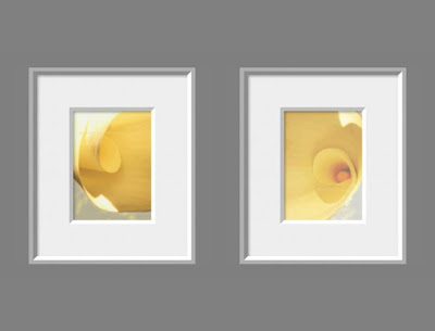 Yellow Calla Lily Photo Set of Two
