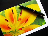 yellow lily notecard