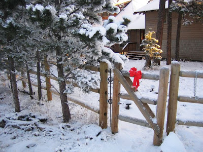 Red ribbon on a rustic gate with a path leading to a mountain home.