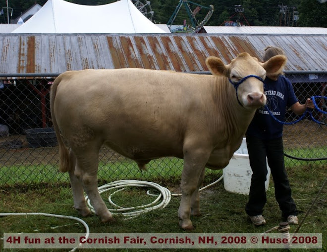 4H fun at the Cornish Fair, Cornish, NH, 2008 photo © by Edward Huse 2008