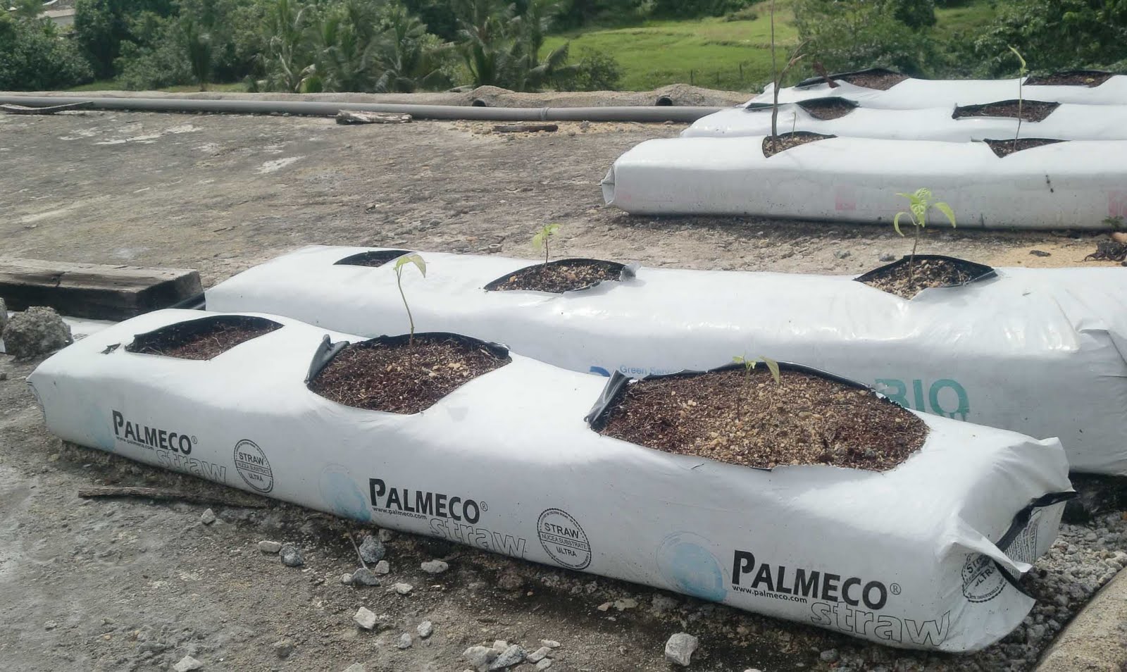 Polythene Industry Grow Bags