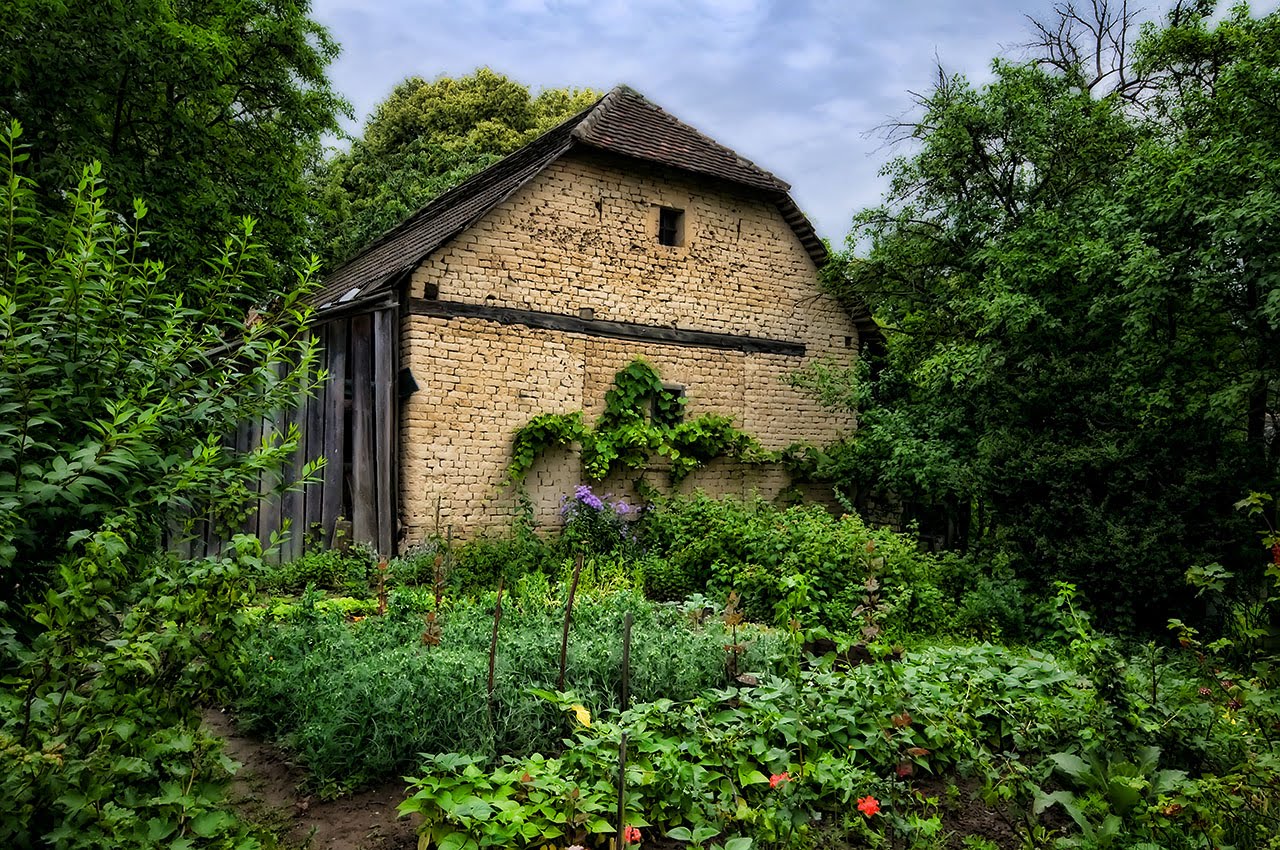 [SlovakOldAdobeGardenJn09.jpg]