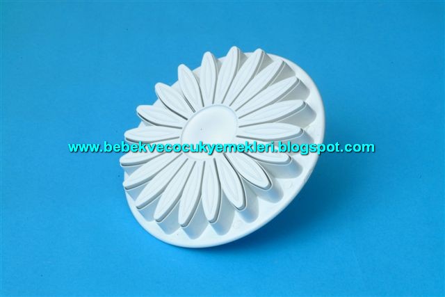 [2009orgubluzmoda7.jpg]