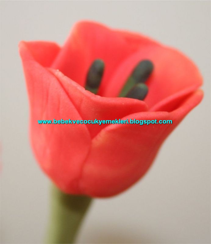 [sekerhamurucicek16.jpg]