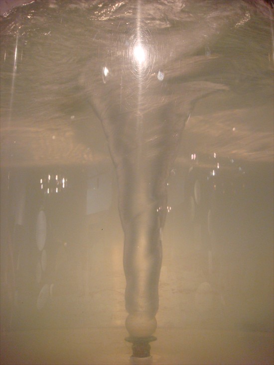[DSC01287.JPG]