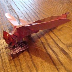 [dragonflyblogstedmanoutcome.jpg]