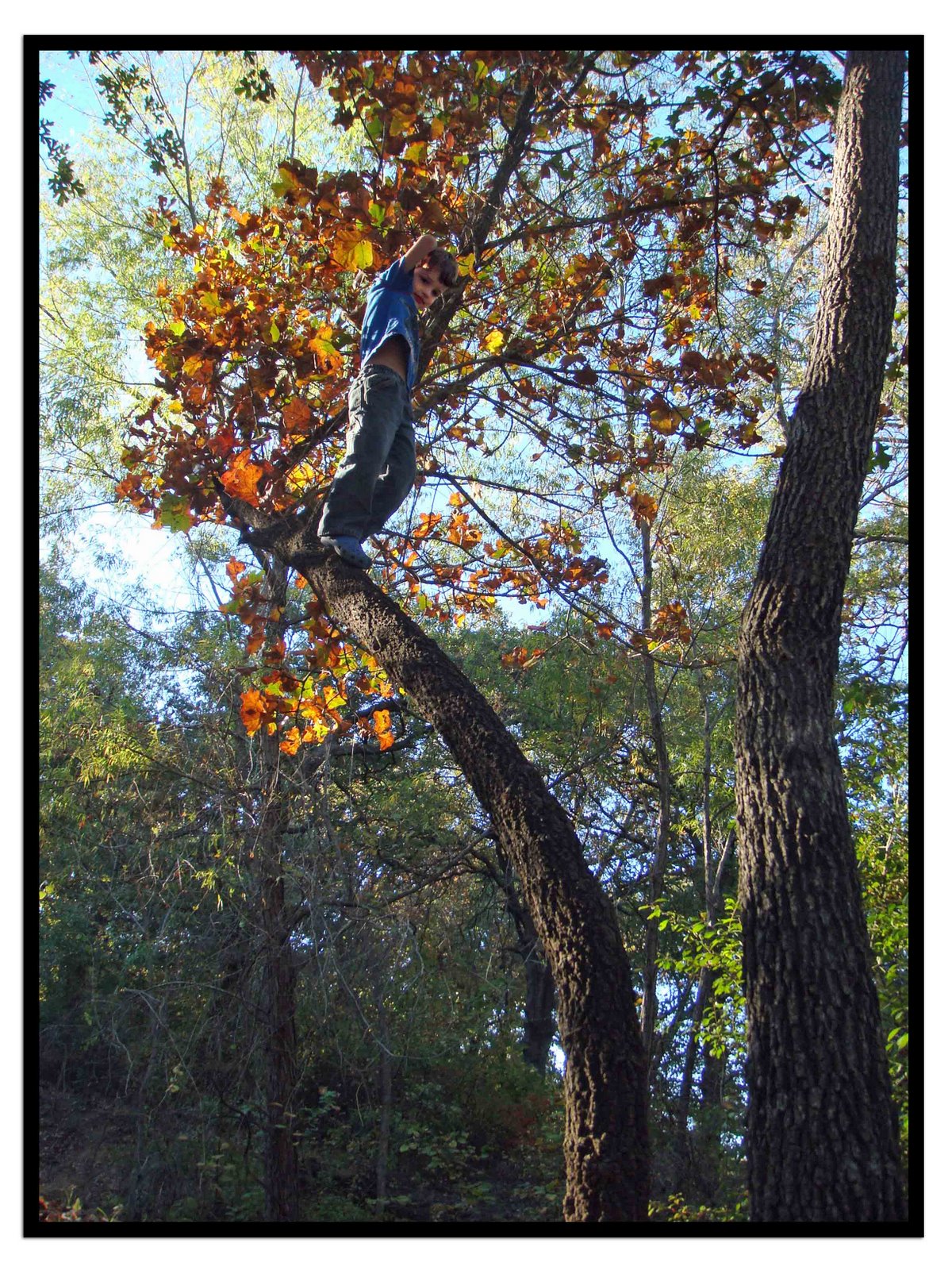 [DSC05487edited01bordersmall01.jpg]