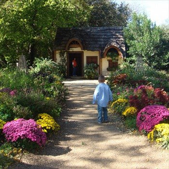 boy walks toward the playhouse in the Dallas Arboretum