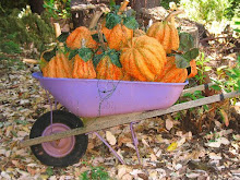 Purdy Pumpkins in Purple Wheelbarrow