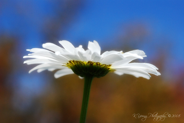 [DSC_0099+copy2.jpg]