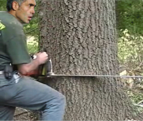 nikopolidiskipourosde5.gif