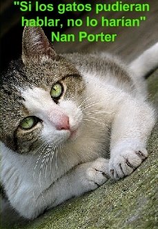 Nan Porter