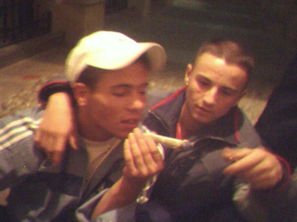Cani_porro.jpg