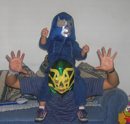 Mis luchadores