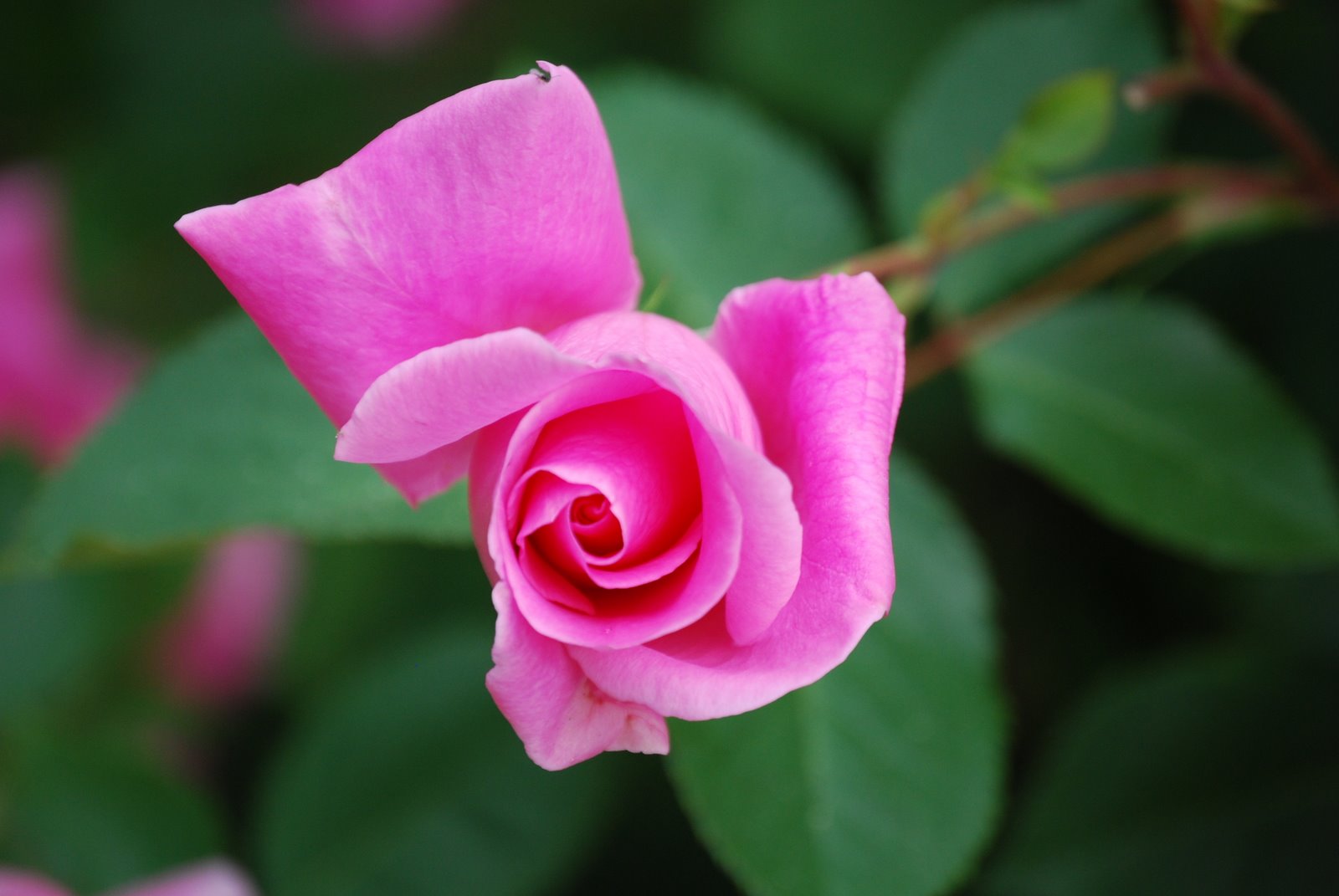 [DSC_0636.JPG]