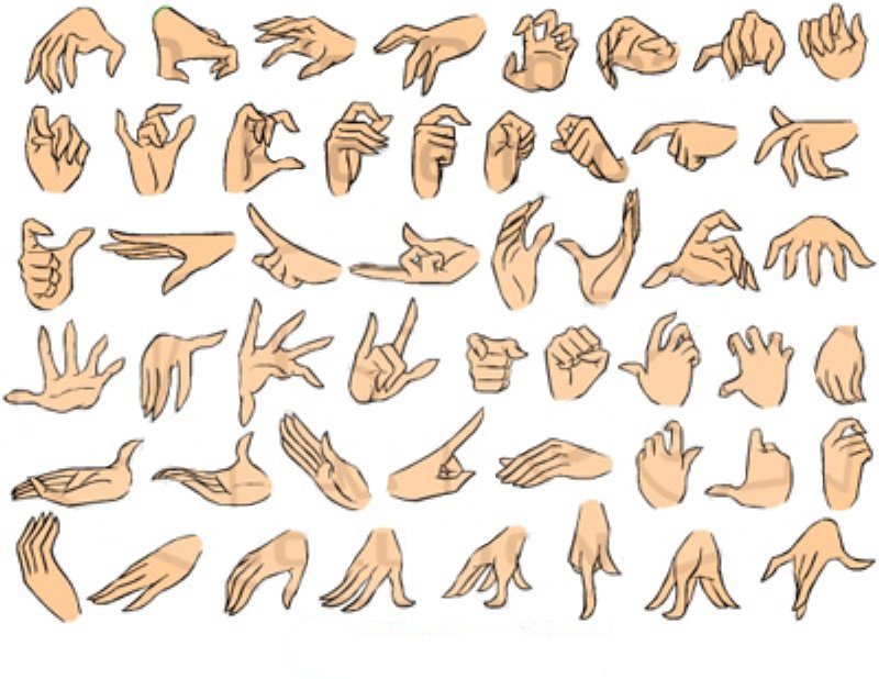 [female5finger_det.jpg]