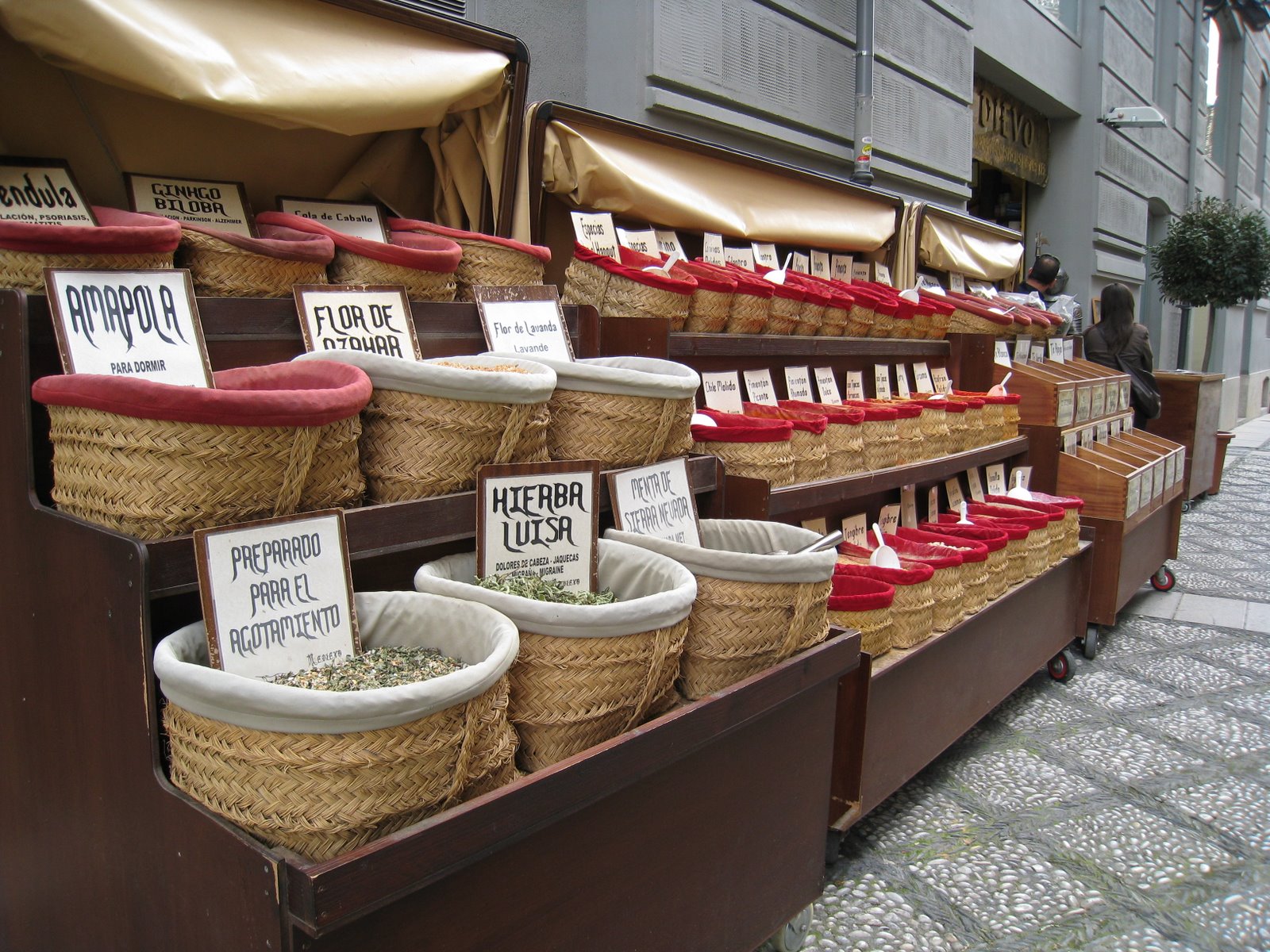 [IMG_0679[1]]
