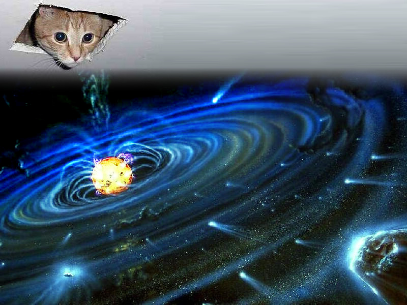 ceiling-cat-god-creates-universe.jpg