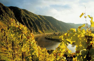 Alemania - Cultura del vino y naturaleza - PRIMAVERA DE FESTIVALES Y CONCIERTOS EN COLONIA ✈️ Foro Alemania, Austria, Suiza