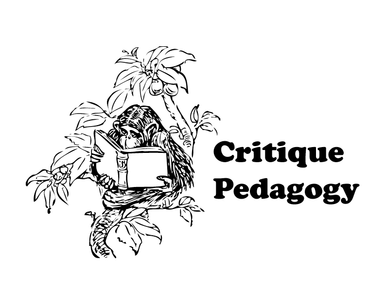 [critique+pedagogy.jpg]