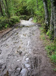 Camino, Sort of