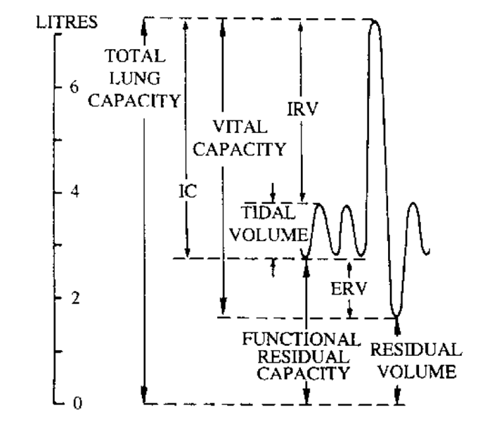 medpcl01-lung-function-test