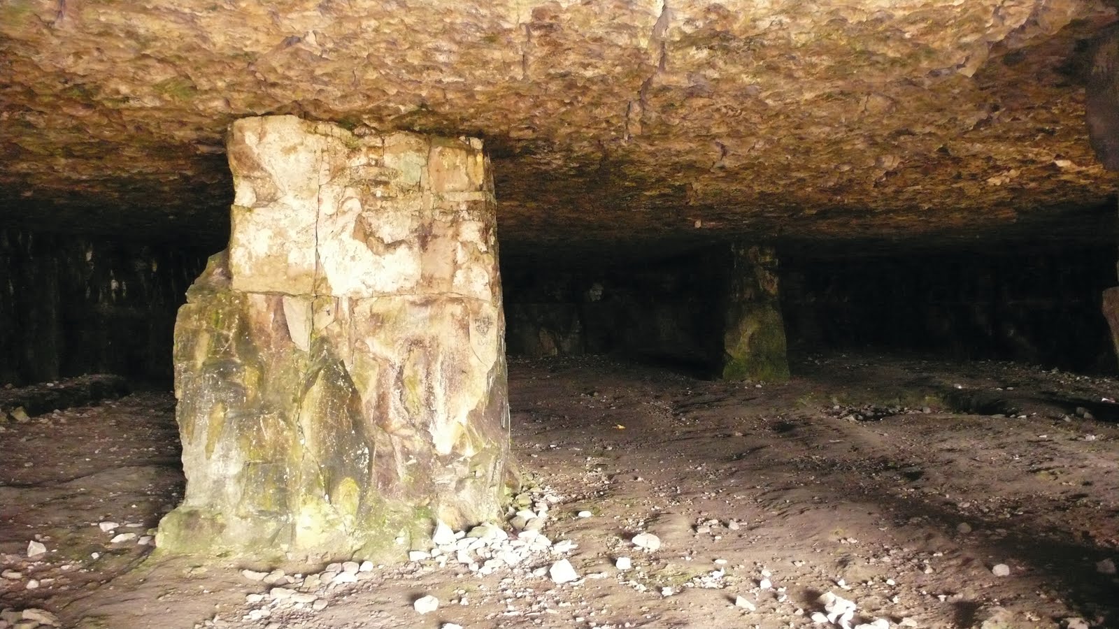Unmitigated England Bat Caves