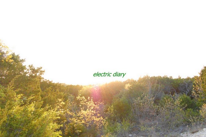 electric diary