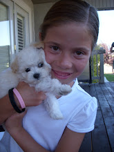 Our New Family Edition "Chewy"