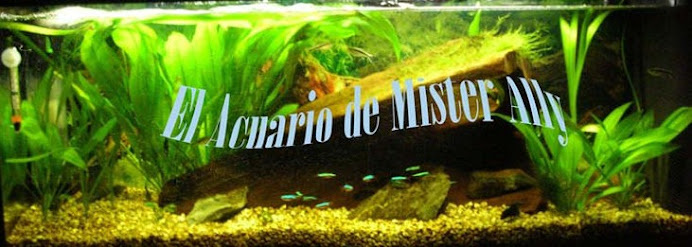 El Acuario de Mister Ally