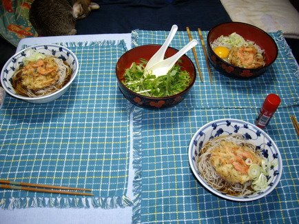 [IMGP0960_resize.JPG]