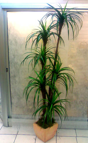 Plantas Artificiales Decorativas Para Interiores Plantas Artificiales Decorativas Para Interiores