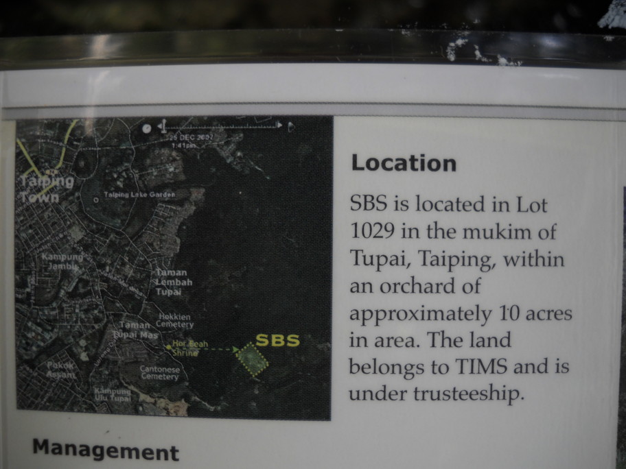 DSCN0495.jpg